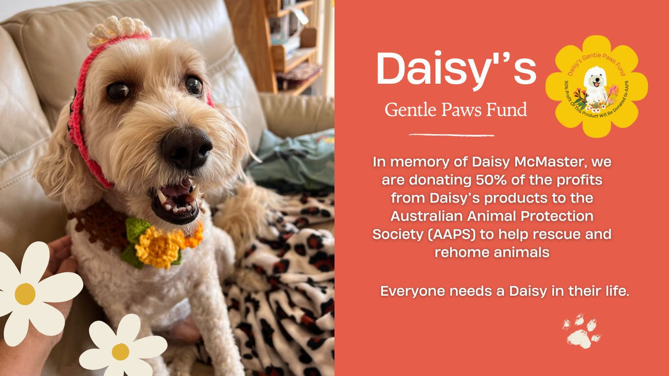 Suki McMaster Daisy’s Gentle Paws Fund