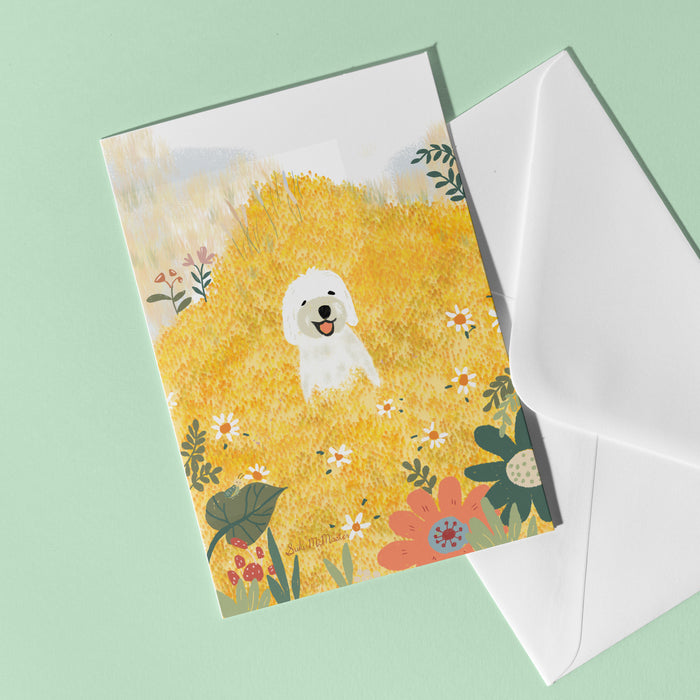 Blank Card - Happy Daisy by Suki McMaster
