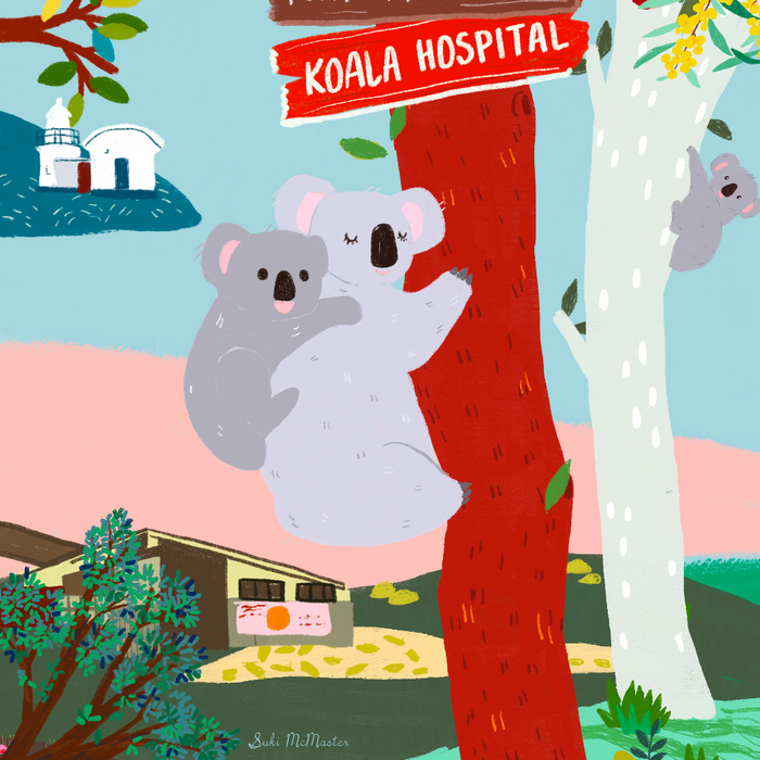 We're so proud to support the Port Macquarie Koala Hospital 🐨