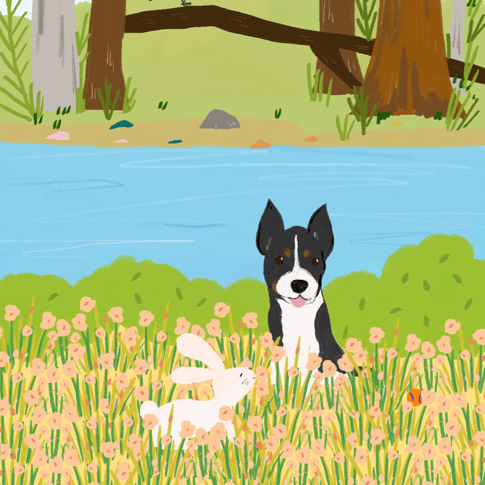 November's Gentle Paws Portrait Giveaway- Cooper's Story