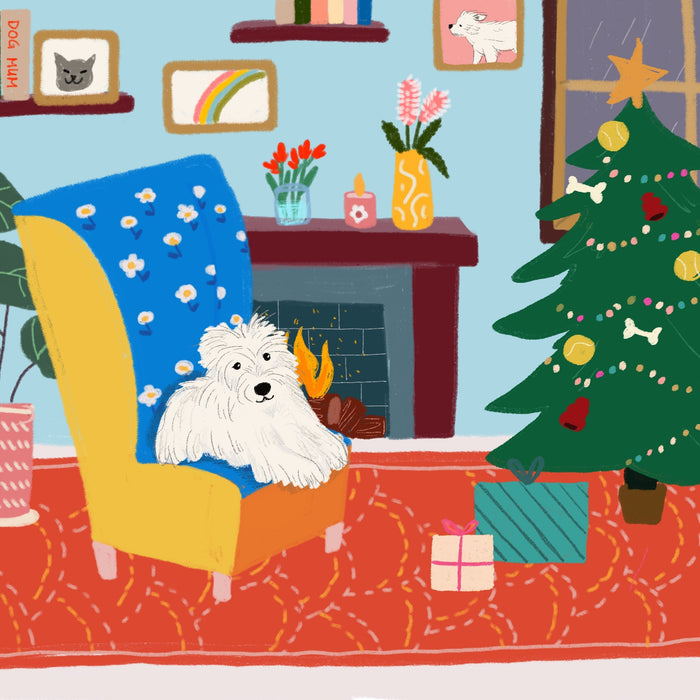 December Gentle Paws Portrait Giveaway: A Christmas Full of Stories 🐾🎄