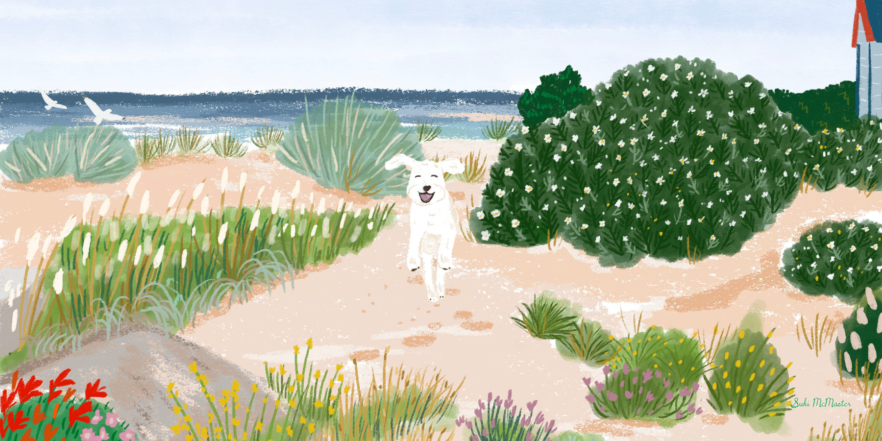 Daisy Would Have Turned 10 Today