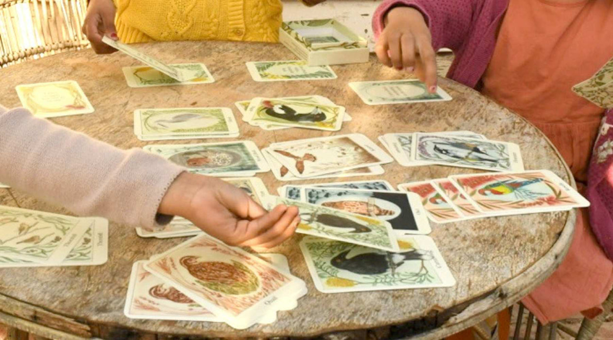 I am a Magpie I am a Currawong Card Game by Bridget Farmer