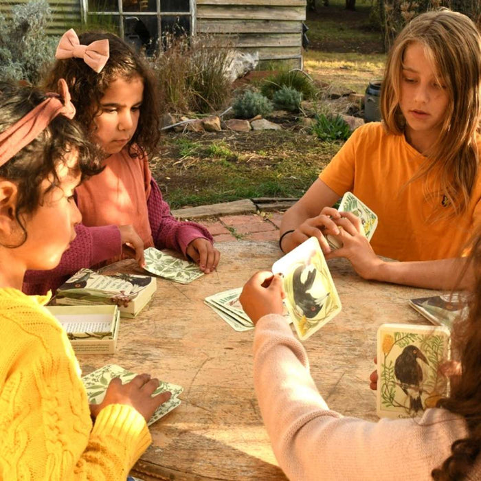 I am a Magpie I am a Currawong Card Game by Bridget Farmer