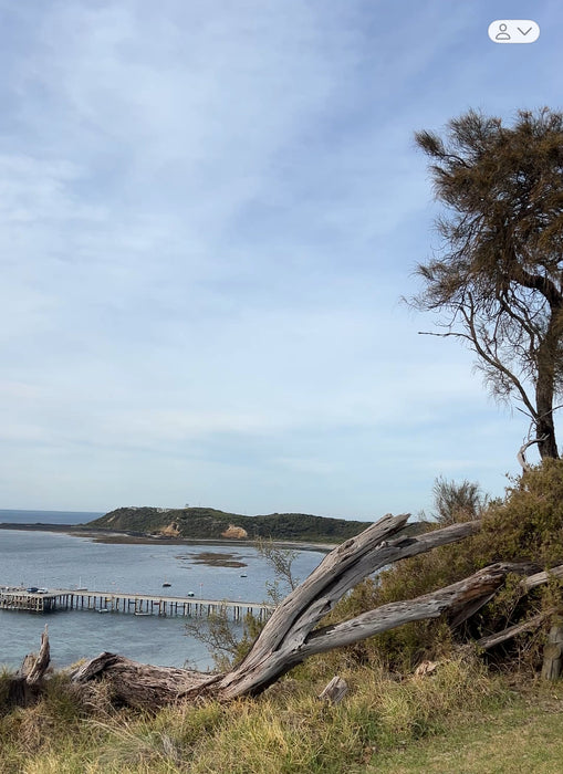 Australian Landscape Wall Art Print - Finders by Suki McMaster