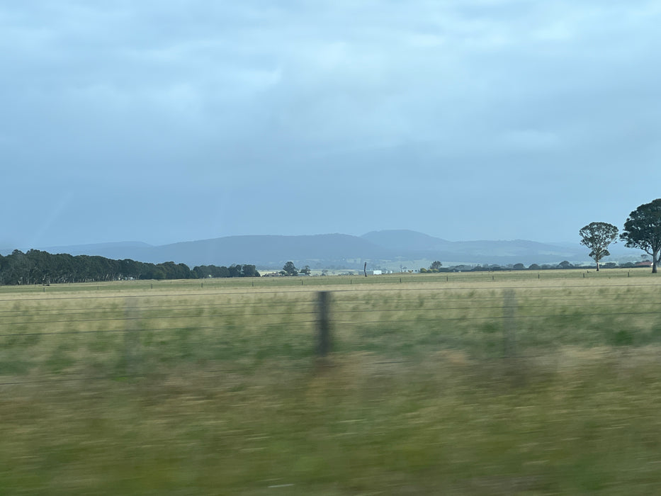 Australian Landscape Wall Art Print - Flynn by Suki McMaster