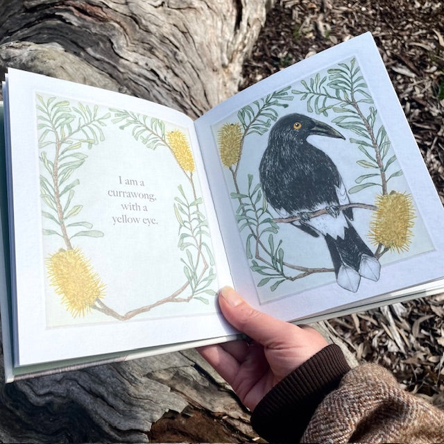 I am a magpie, I am a Currawong - Children’s Book by Bridget Farmer