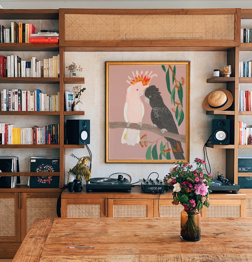 Suki McMaster | Wall Print - Rex The Black Cockatoo