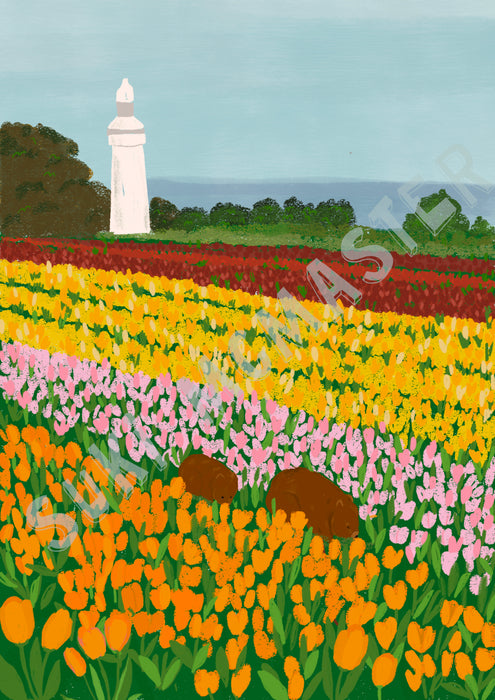Australian Landscape Wall Art Print - Tasmania Tulip Festival by Suki McMaster