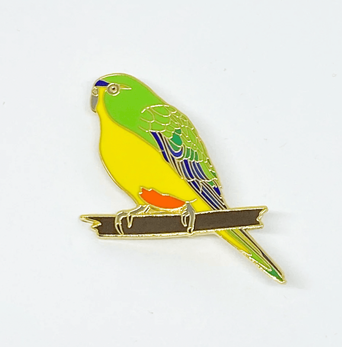 Pin - Orange Bellied Parrot by Red Parka