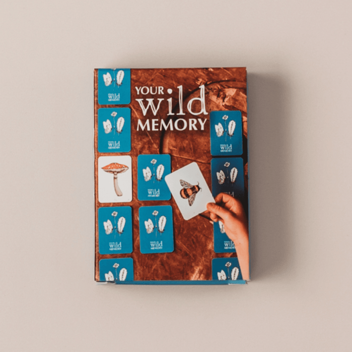 Your Wild Books - Your Wild Memory card game