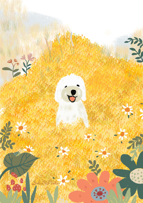 Blank Card - Happy Daisy by Suki McMaster